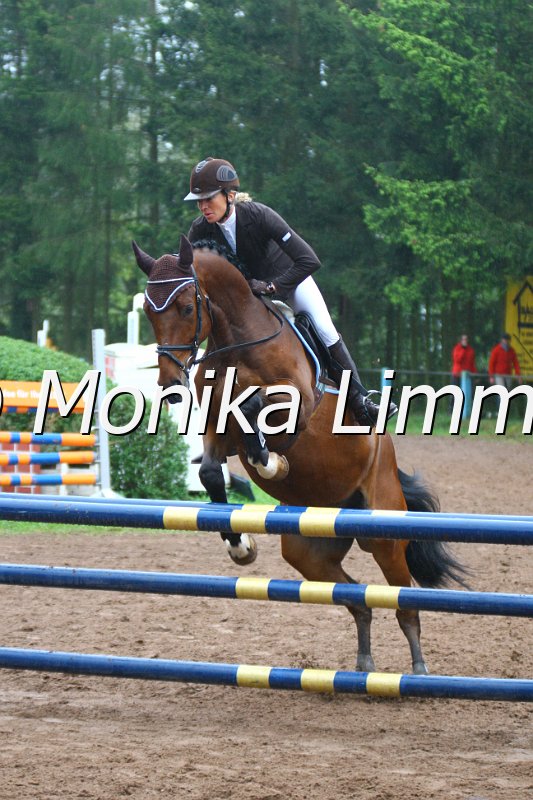 005L4713_Contendo_Springpferde A xx.JPG